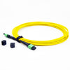 MPO-MPO Trunk Patch cord