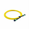 MPO-MPO Trunk Patch cord