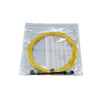 MPO-MPO Trunk Patch cord