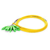 catvscope SC/APC 12 Fibers Single Mode Bunch PVC Fiber Optic Pigtail