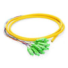 catvscope SC/APC 12 Fibers Single Mode Bunch PVC Fiber Optic Pigtail