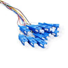 catvscope SC/UPC 12 Fibers Single Mode Bunch PVC Fiber Optic Pigtail